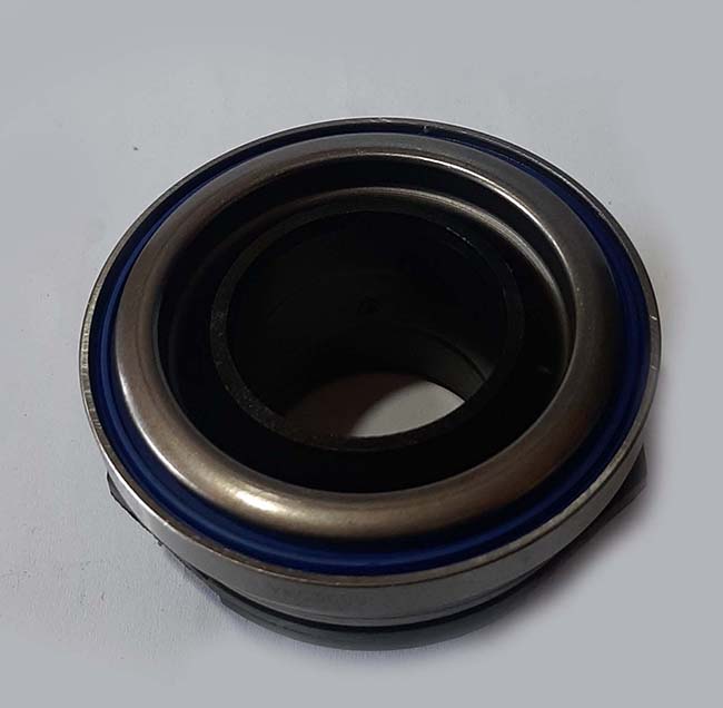 31010043.jpg